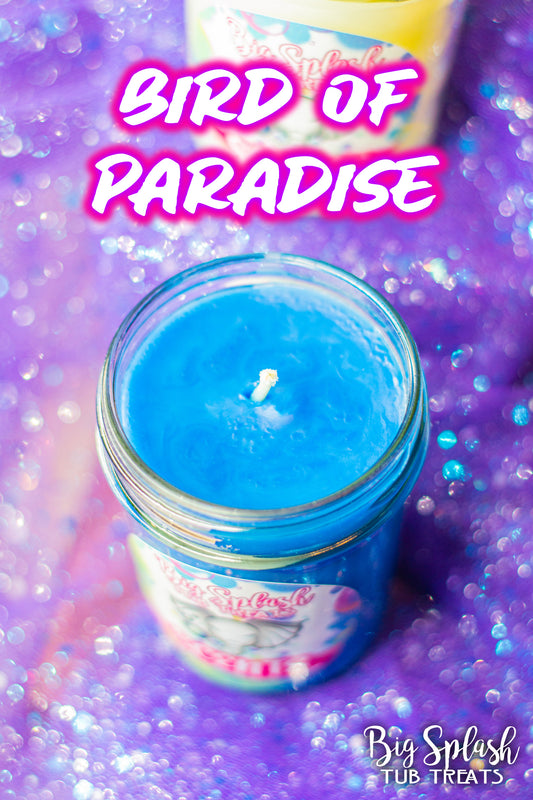 Bird of Paradise